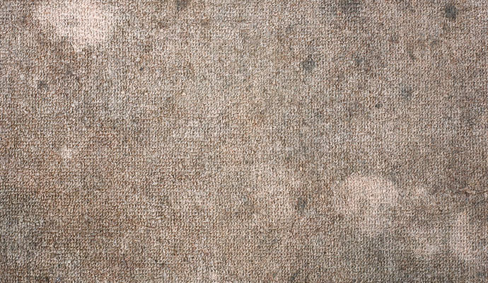 Visible mildew on carpet