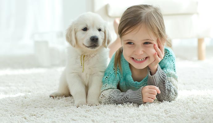 Puppy and child on clean carpet