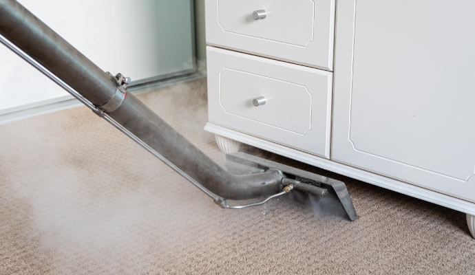 Carpet cleaning