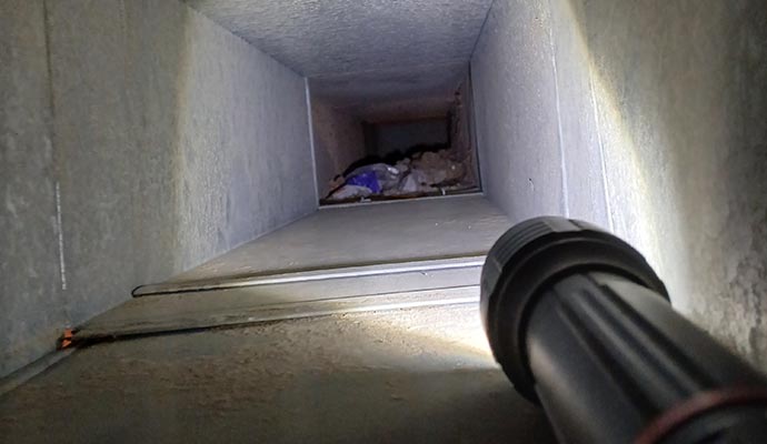 Professional inspecting air duct