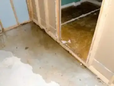 Water Removal Service