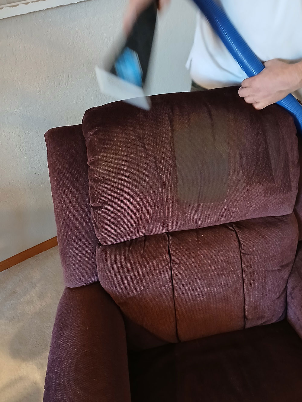 Upholstry cleaning services