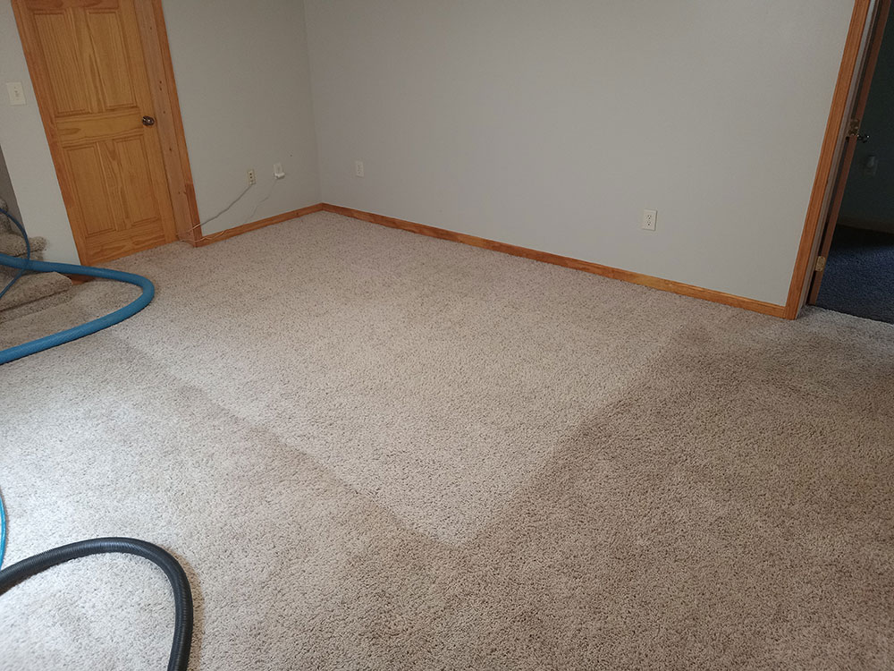 High Traffic Area Carpet Cleaning