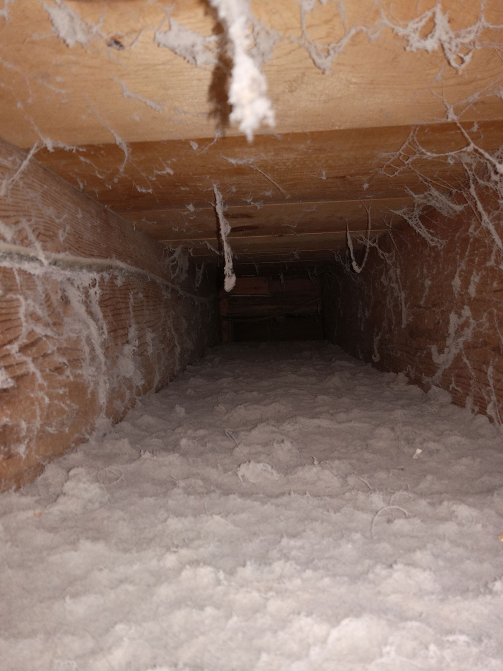 Spider webs in ductwork