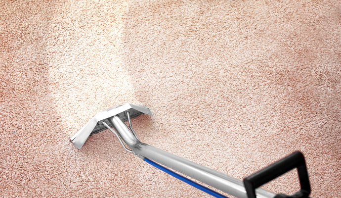 Carpet cleaning