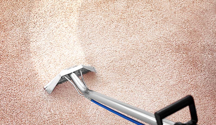 Carpet cleaning