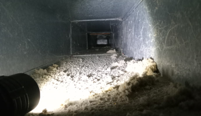 A professional inspecting a dirty air duct