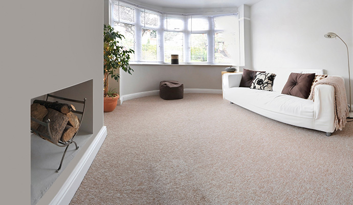 Guide to selecting the best carpet cleaning method for Your Property