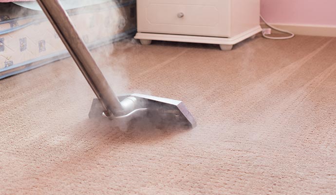 Professional carpet cleaning
